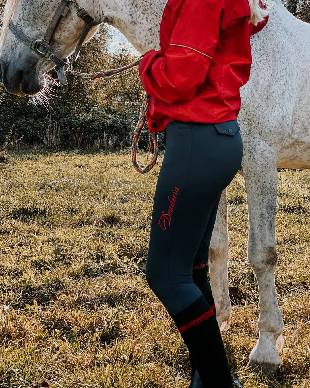 Zcuderia Reitleggings "Evy"